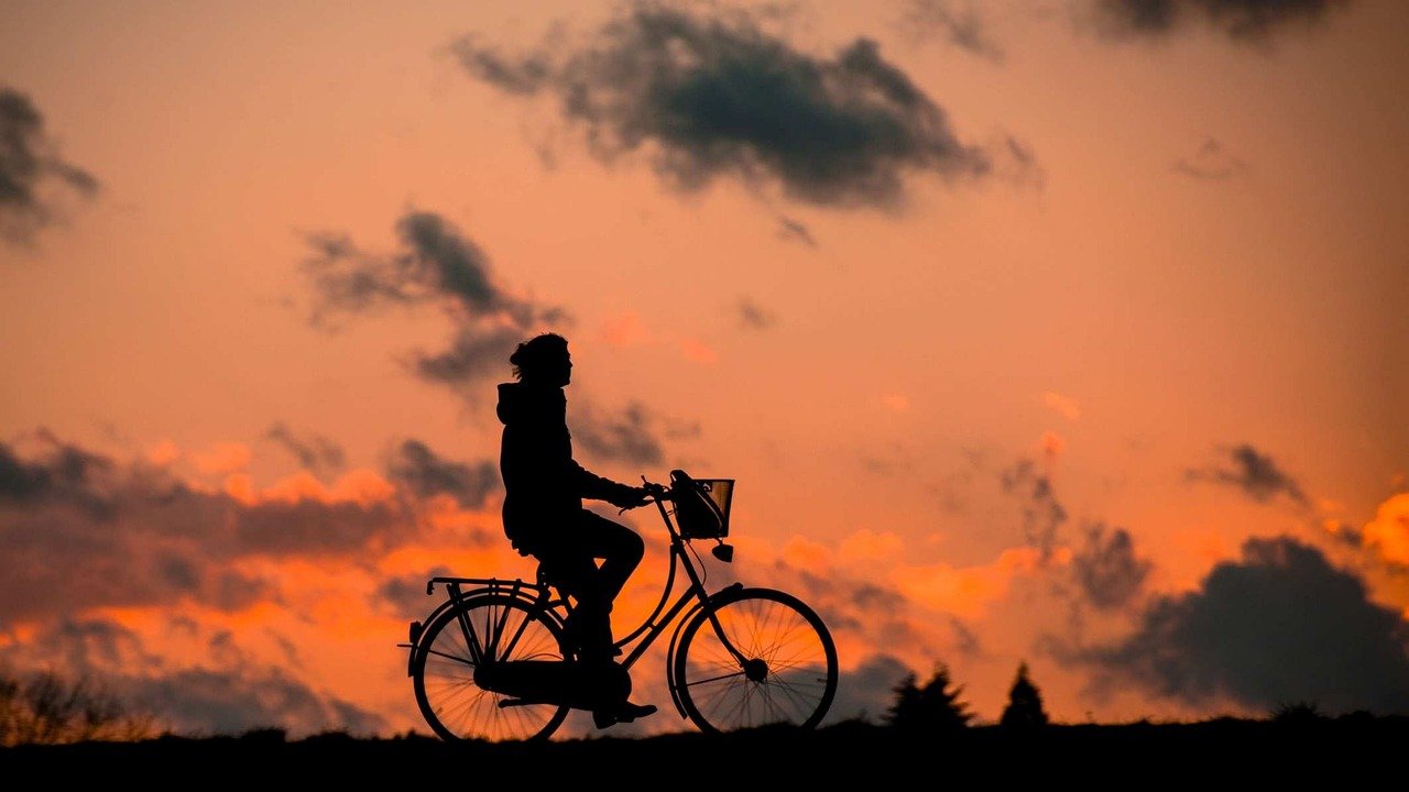 silhouette, bike, fitness